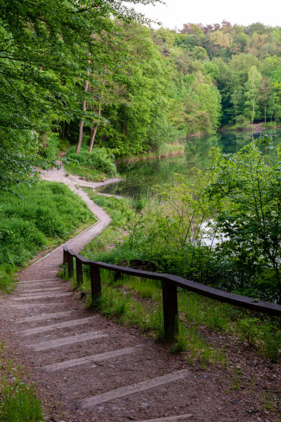 istock Lake and path leading down. Attraction in Szczecin 1190853756