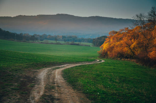 istock Autumn rural landscape in evening light 1190853995