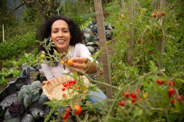 istock Young woman working in farm 1190855101