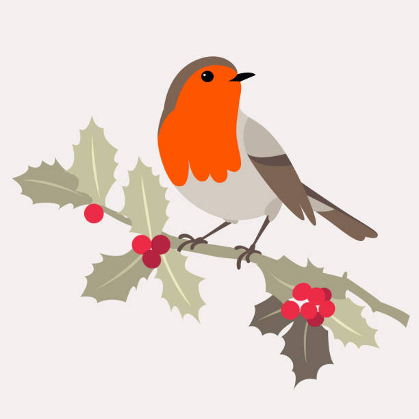 рождественская птица. робин птица сидит на веточка холли с ягодами. - tree winter bird branch stock illustrations