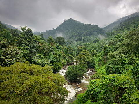 Landscape image of Thusharagiri Falls between dense green forest in Kozhikode, Kerala, India.