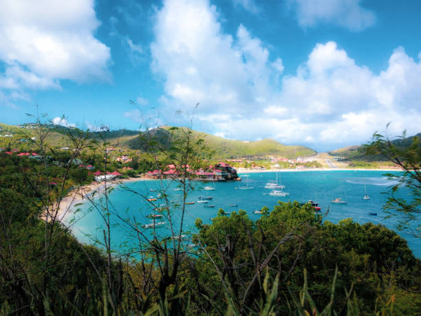 セントバース島のビーチと空港の景色 - saint barthelemy island summer sunlight ストックフォトと画像