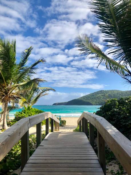 pont vers un rêve : flamenco beach - portoricain photos et images de collection