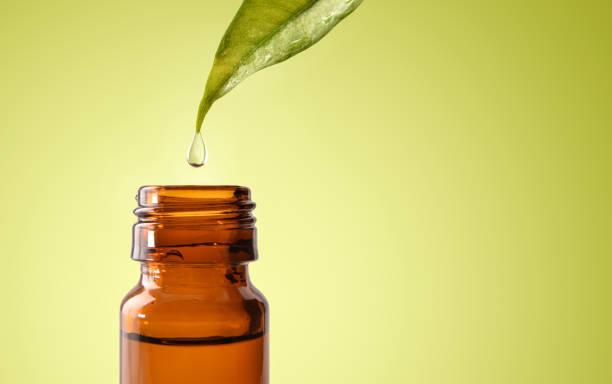 istock Leaf and drop of natural medicine falling into jar isolated 1190860079