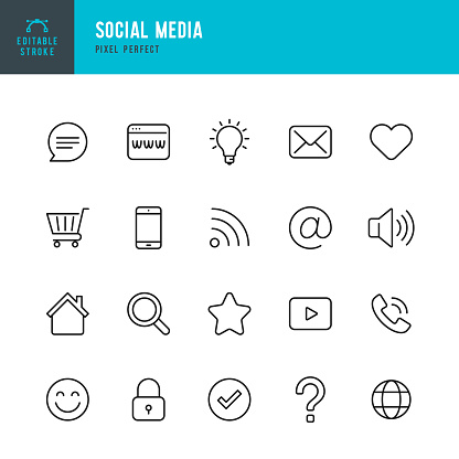 Social Media - thin line vector icon set. 20 linear icon. Pixel perfect. Editable stroke. The set contains icons: Shopping Cart, Home, Smart Phone, Check Mark, E-Mail, Globe, Lock, Question Mark, Wireless Network, Magnifier, Site, Idea, Message.