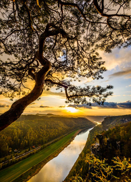 istock view at the famous bastei hills 1190861411