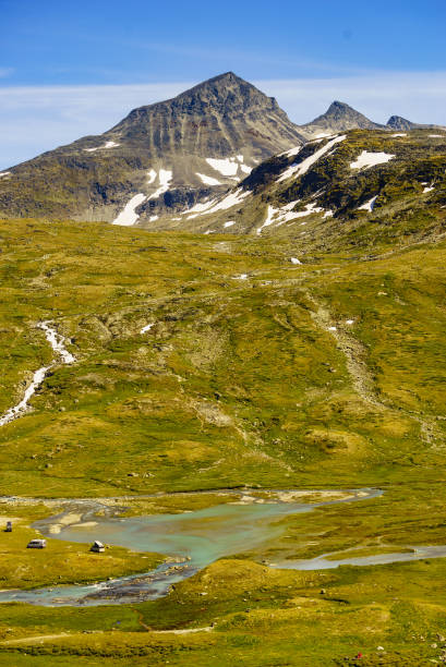 istock Camper vans on norwegian nature 1190862729