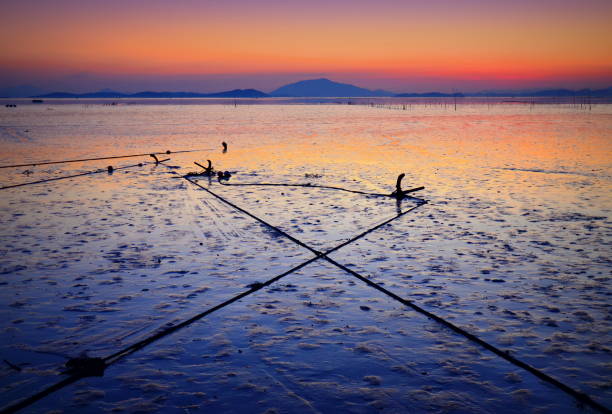 Anchorage at low tide in Suncheon bay, South Korea.