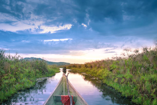 Sunset view of Mabamba Swamp from a little wooden fishing boat, Entebbe, Uganda, Africa stock photo