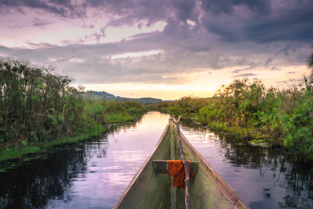 Sunset view of Mabamba Swamp from a little wooden fishing boat, Entebbe, Uganda, Africa stock photo