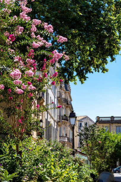 istock The idyllic Montpellier 1190867693