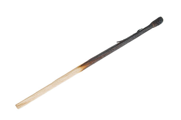 istock Burnt match stick close up isolated on white background 1190868279