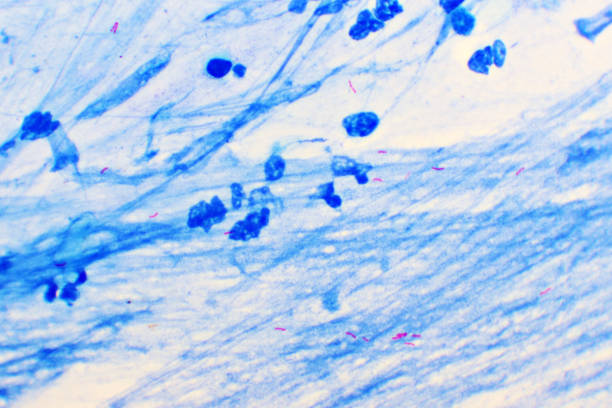 Microscopic image of blood