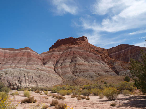 istock Paria Canyon, Utah 1190872102