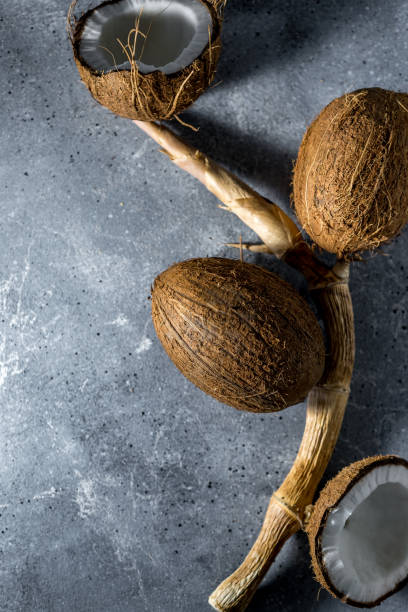 istock ripe chopped coconut on a gray stone background. place for your text 1190877326