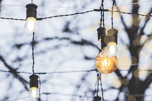 Low-angle view of glowing vintage light bulbs. Outdoor party decoration. Vintage style lights. Glowing garland hanged on tree outdoors. Party lights modern cafe. Lights hanged outdoor. Festival lights