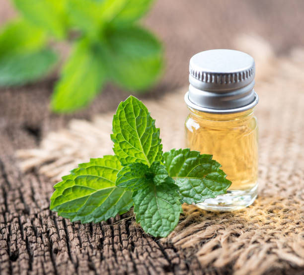 istock fresh mint essential oil on wood background 1190883932