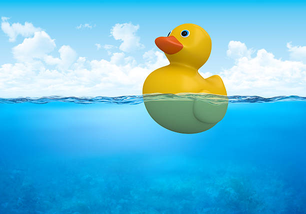 istock Yellow duck in waterline 119088434