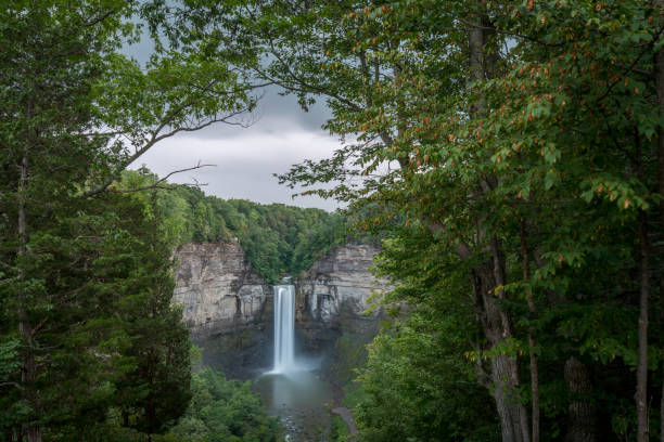 istock Taughannock Falls Overlook In Summer Time 1190886265