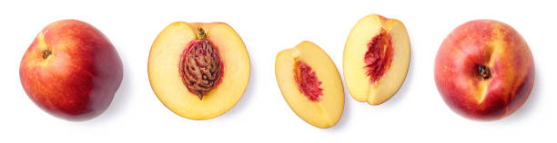 frische steile, halbund in scheiben geschnittene nektarine - peach nectarine fruit portion stock-fotos und bilder