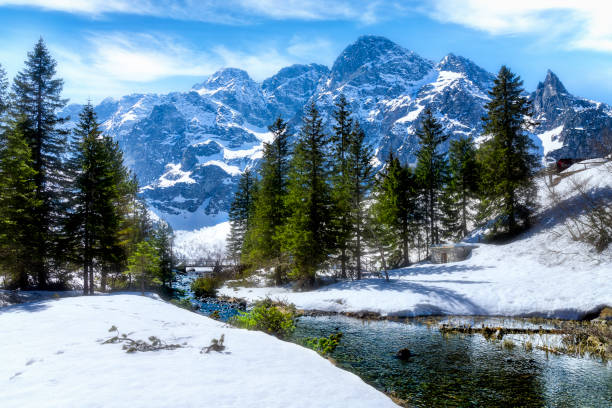 모르스키 오코 호수, 타트라 산맥, 폴란드에서 흘러나오는 리비 스트림 - tatra mountains zakopane lake mountain 뉴스 사진 이미지