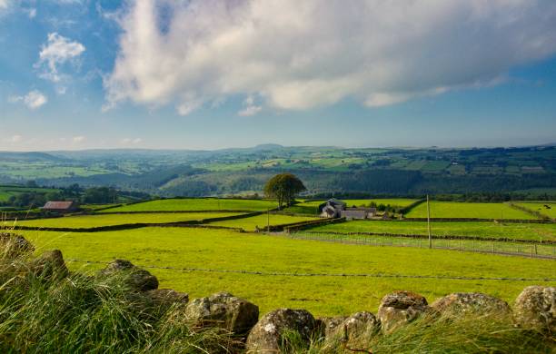 istock Northern Ireland Countryside 1190894085