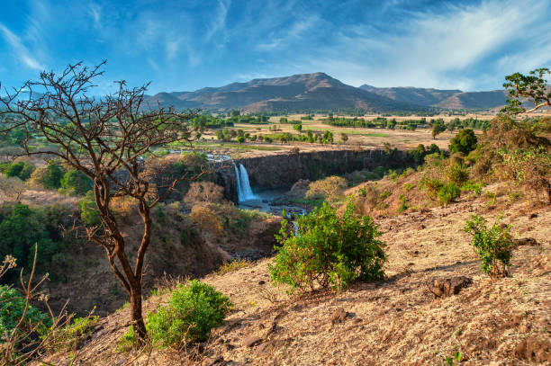 The Blue Nile Falls on the Blue Nile River in Ethiopia. This waterfall is also know as Tis Abay or Tissiat, which means \