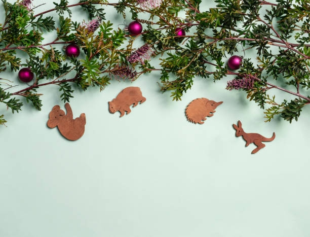 australian themed christmas wreath with grevillea foliage, red baubles and cute animal decorations. - wombat animal mammal marsupial imagens e fotografias de stock