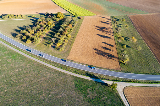 Road between fields in autumn, sunset light, aerial view, Bavaria, Germany.