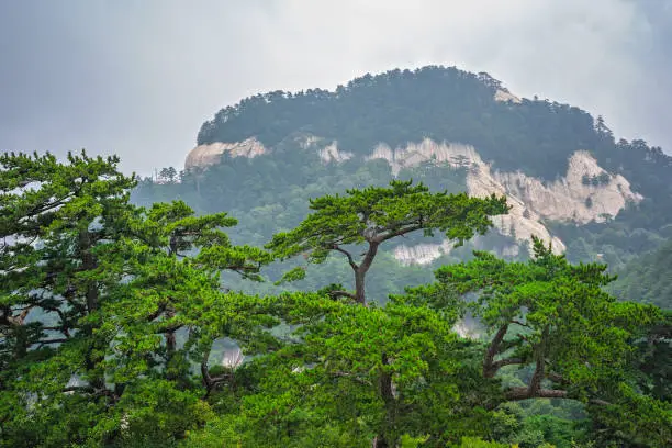 Photo of View from the majestic Huashan mountain in China