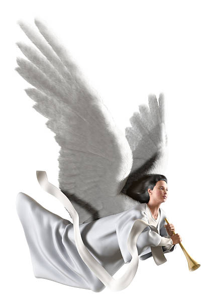 Angel on white  winged cherub stock pictures, royalty-free photos & images