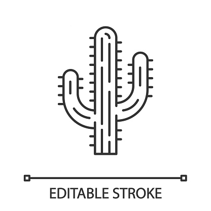 Saguaro cactus linear icon. Arizona state wildflower. Mexican tequila cactus. American tropical plant. Thin line illustration. Contour symbol. Vector isolated outline drawing. Editable stroke
