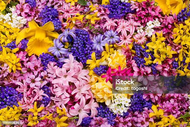 Fondo De Flores Foto de stock y más banco de imágenes de Buqué - Buqué, Primavera - Estación, Narciso - Familia del lirio