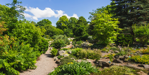 Pathway through beautiful  flower garden full of brightly coloured flowers with box hedges either side leading to a hedge tunnel in a public park in rural England.