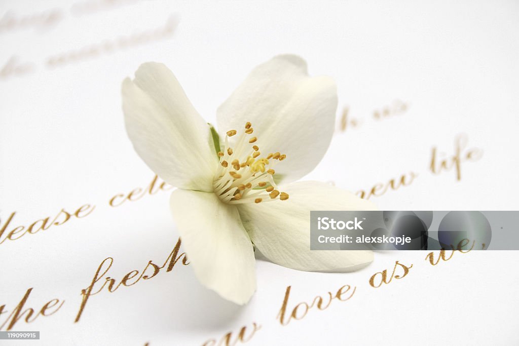 Tarjeta de invitación de boda - Foto de stock de Amarillo - Color libre de derechos