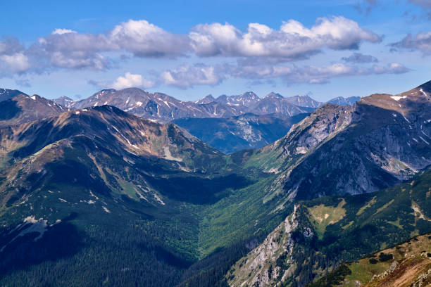 istock Grassy ridge in the Tatra Mountains 1190911557