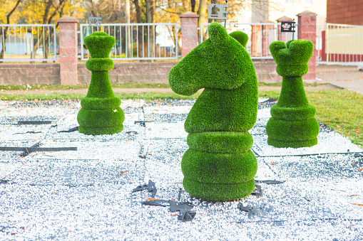 chess figures covered with grass
