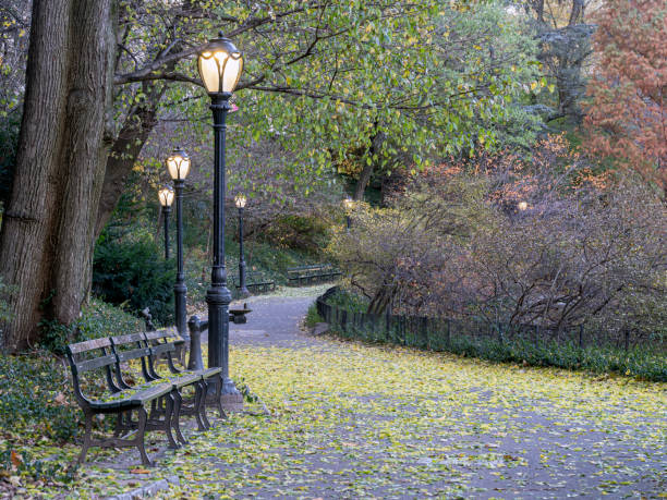istock Autumn in Central Park 1190917566