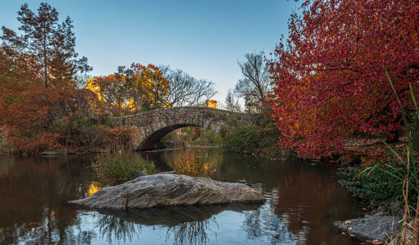 istock Gapstow Bridge in Central Park 1190917831
