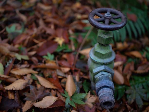 Connector sarounded with fallen leaves and fall colours.