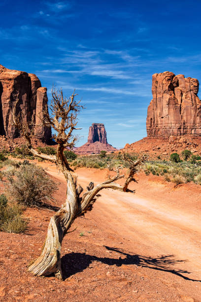 road to monument valley - merrick butte stock-fotos und bilder