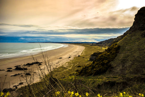 istock St Cyrus Beach. Aberdeenshire, Scotland, UK 1190925985