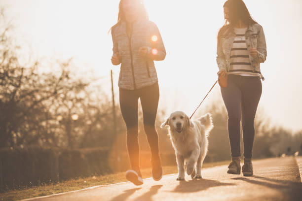 istock Dog jogging with women on a sunny day 1190927469