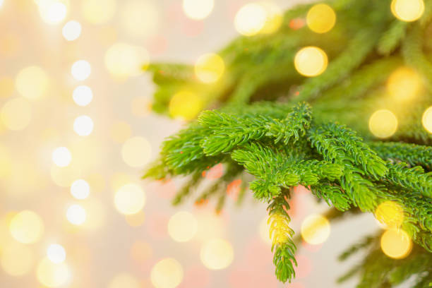 istock Closeup Christmas tree with bokeh light background 1190927961
