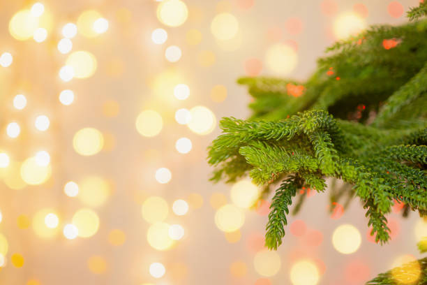 istock Closeup Christmas tree with bokeh light background 1190927963