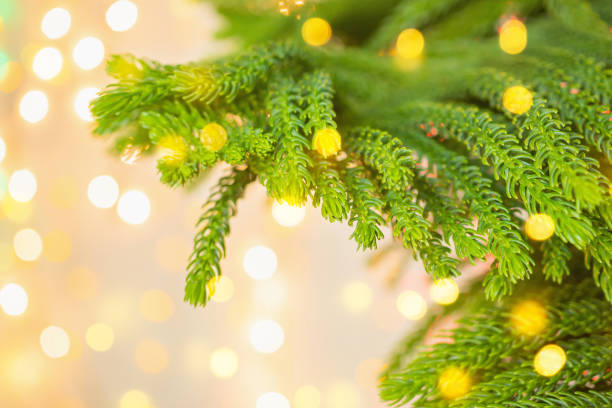 istock Closeup Christmas tree with bokeh light background 1190927966