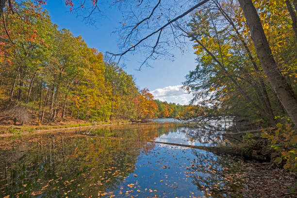 istock Shade, Shadows, and Reflections on a Fall Lake 1190929917
