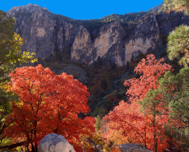 Red Rock Canyon in Las Vegas during winter