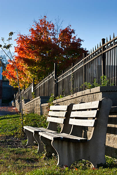 istock Empty park benches in the autumn 119093867