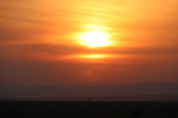 istock Sunset on Masai Mara 1190940240